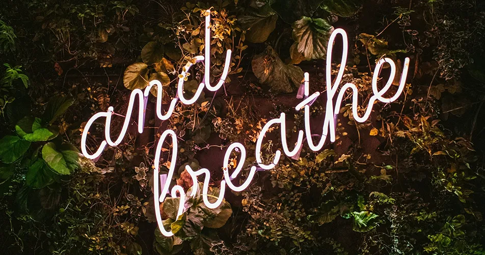 Neon sign reading 'and breathe' surrounded by green foliage, a calming visual about managing stress, anxiety, and burnout